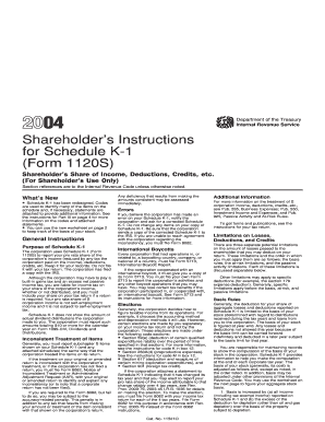 Instructions for Form 1120 S Schedule K 1