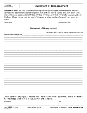 Form 12509 December Statement of Disagreement Purpose of Form You Can Use This Form to Explain Why You Disagree with the Interna