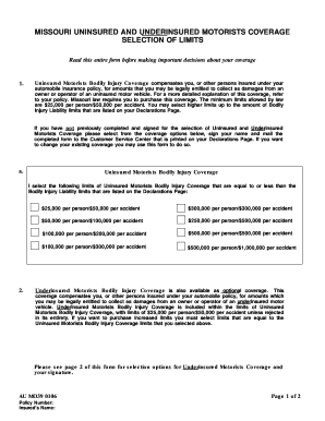MO UMUIM Coverage Selection Form PDF