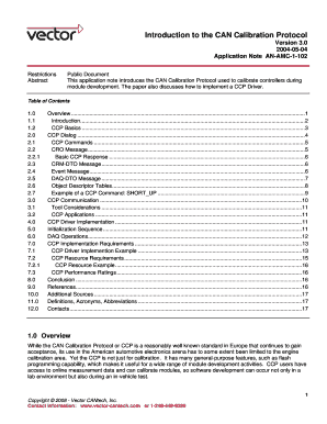 Ccp Protocol PDF  Form