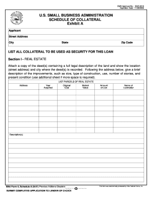 Sba Form 4 Schedule a