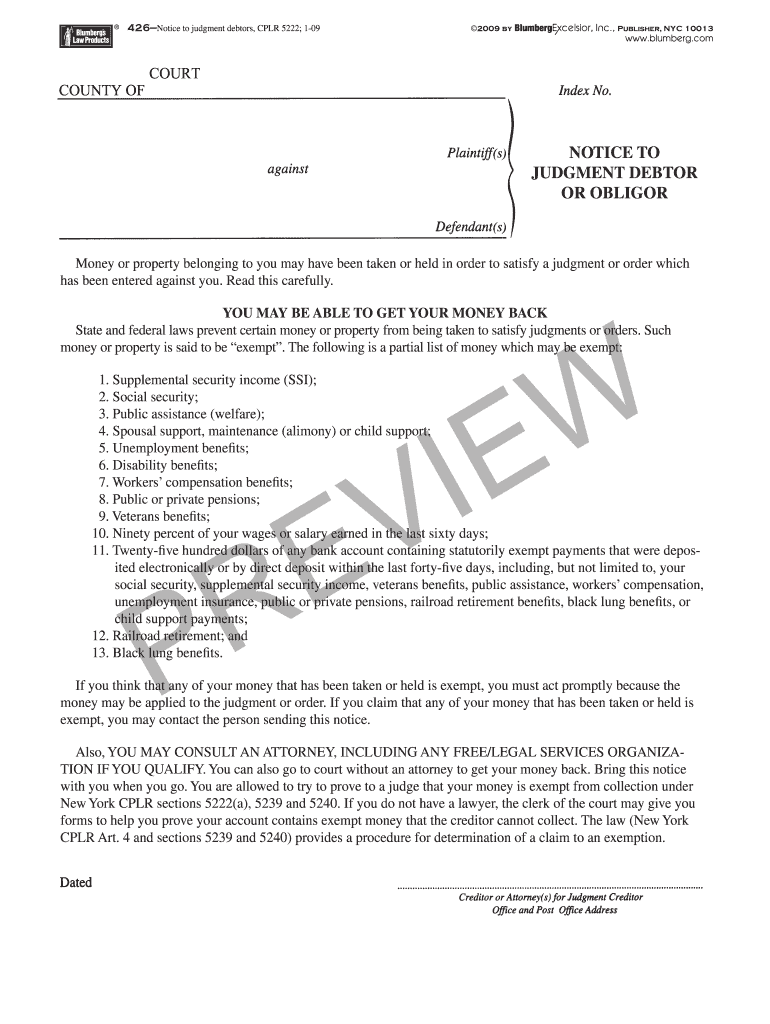 Notice to Judgment Debtor New York  Form