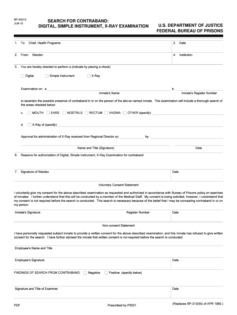BP A0313 JUN 10 SEARCH for CONTRABAND DIGITAL, SIMPLE INSTRUMENT, X RAY EXAMINATION 1  Form