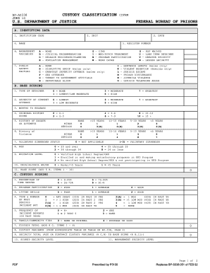 Form BP S338 051, Custody Classification Federal Bureau of Prisons Bop