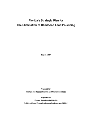 Florida S Strategic Plan for Cdc  Form