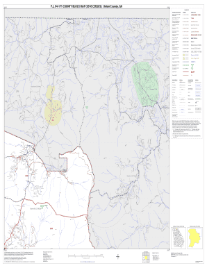 P L 94 171 County Block Map Census Union County, GA 13291 Www2 Census  Form