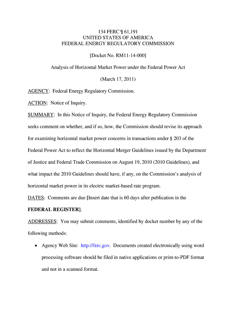 Analysis of Horizontal Market Power under the Federal Power Act  Form