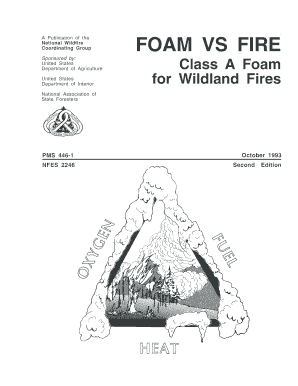 FOAM VS FIRE  Form