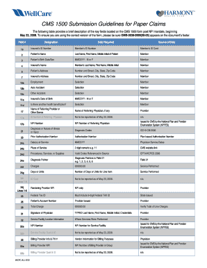 Cms 1500 Filled Docfile Form