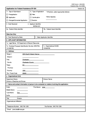 Sf 424a Sample  Form