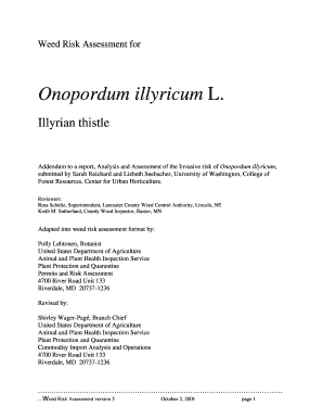 Onopordum Illyricum L  Form