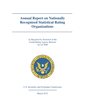 Annual Report on Nationally Recognized Statistical Rating Organizations  Form