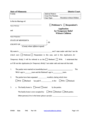 Application for Temporary Relief Without Children  Form