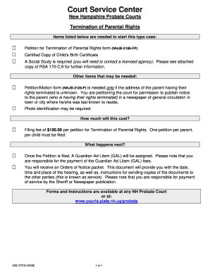 028 Termination of Parental Rights  Form