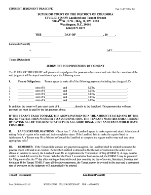 Consent Judgment Form