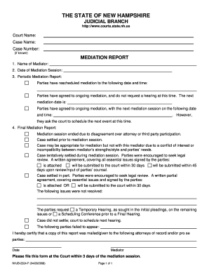 Mediation Report  Form