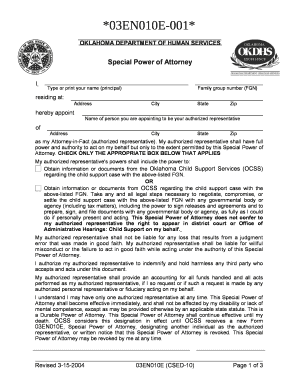 Special Power of Attorney for Authorized Representative to Process Documents  Form