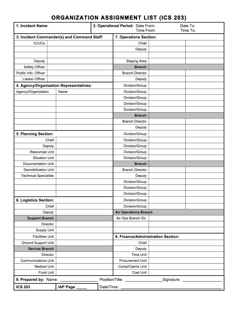 Ics 203  Form