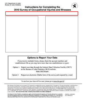 Survey of Occupational Injuries and Illnesses Form Bls 9300 N06