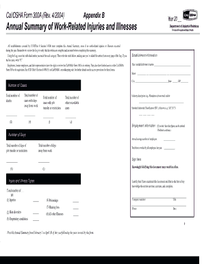 Form 300A Annual Summary of Work Related Injuries and Illnesses