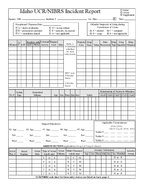 Sexual Incidents Report Database Form