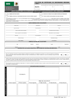 Dnn 1 Form in English