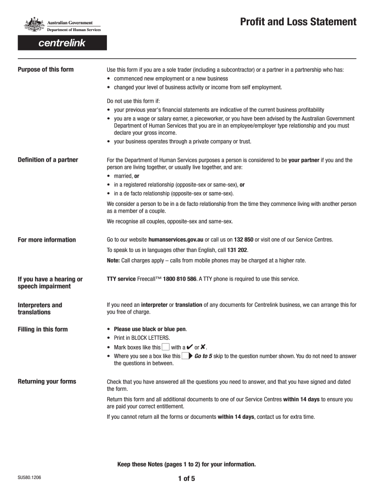  Human Services Profit and Loss Statement  Form 2012