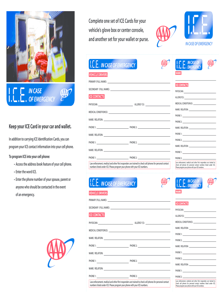 Get and Sign Ice Cards  Form
