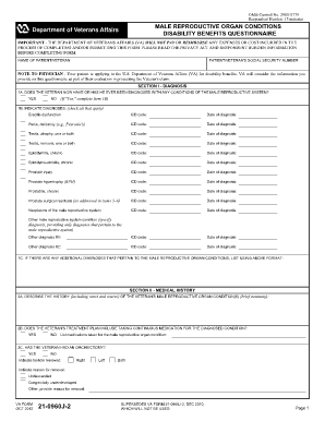 What is the Simple 12 Form 21