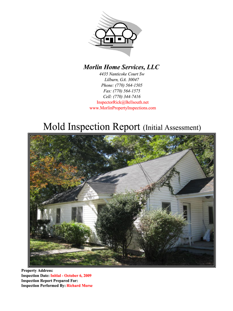 Mold Inspection Report Template  Form