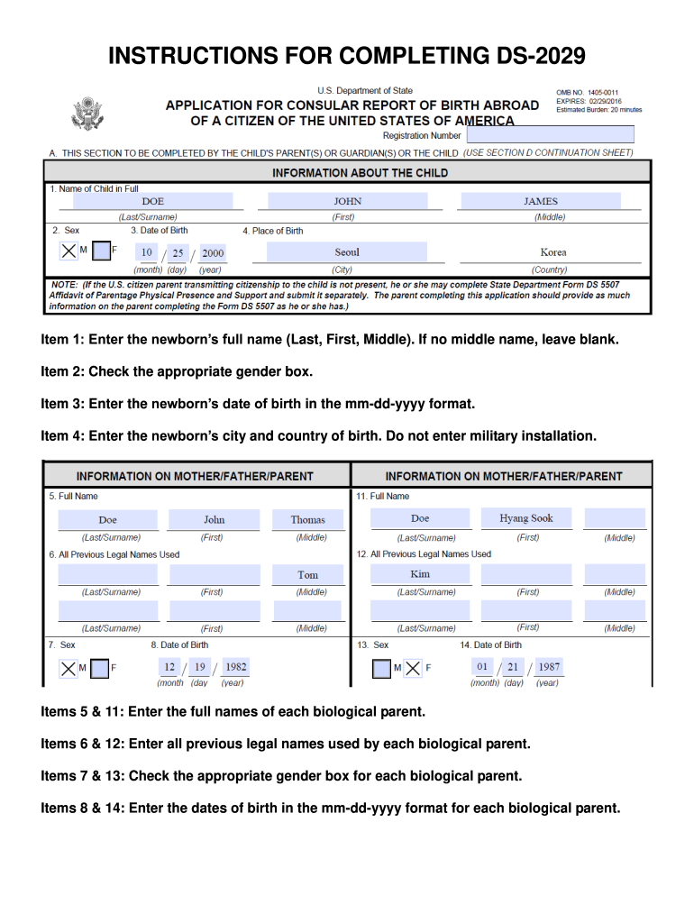 Form Ds 2029