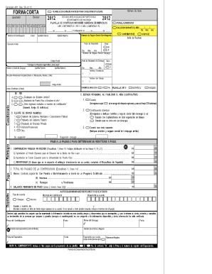 Formulario 481 1 Para Llenar