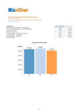 Profit and Loss Statement Sole Proprietorship  Form