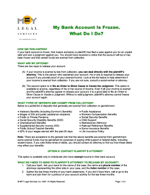 PDF Frozen Bank Account Letter  Form