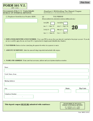 501vi  Form