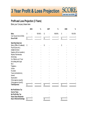 12 Month Profit and Loss Projection PDF  Form