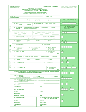 Birth Certificate Form Fill Out And Sign Printable Pdf Template Signnow