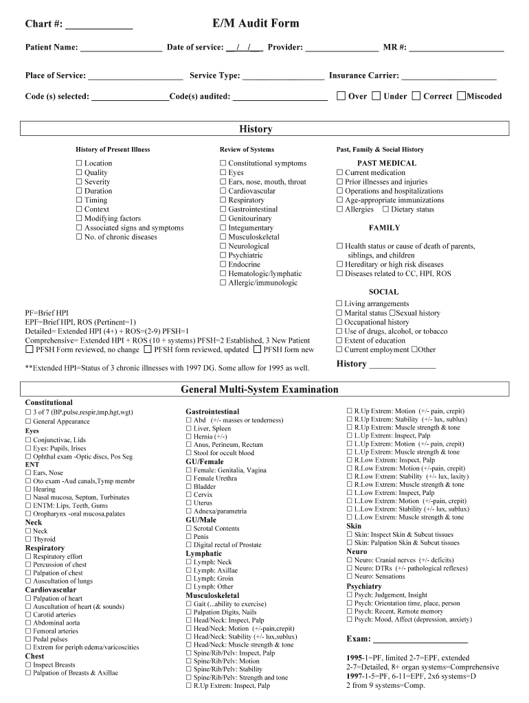 E M Audit Form