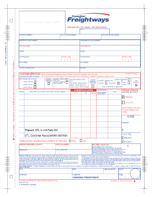 Manitoulin Transport Waybill PDF  Form