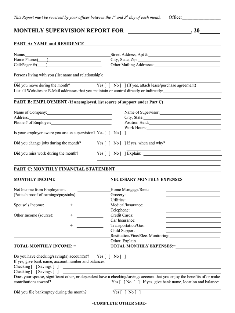 Probation Report  Form