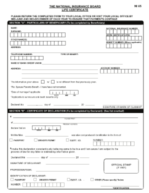 Nis Trinidad  Form