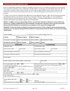 Borrowers Form Example with Answer