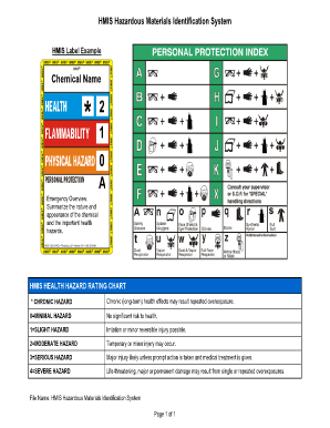 Hmis Rating Chart  Form