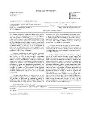 Customs Form 5291 120195