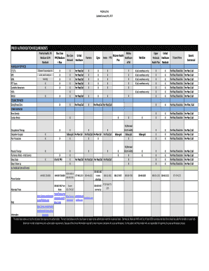 Mclaren Medicaid Prior Authorization Form