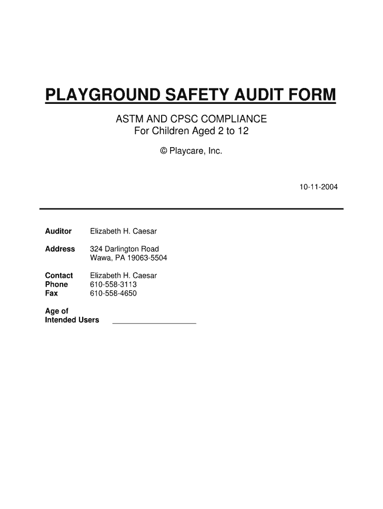 Playground Audit Forms