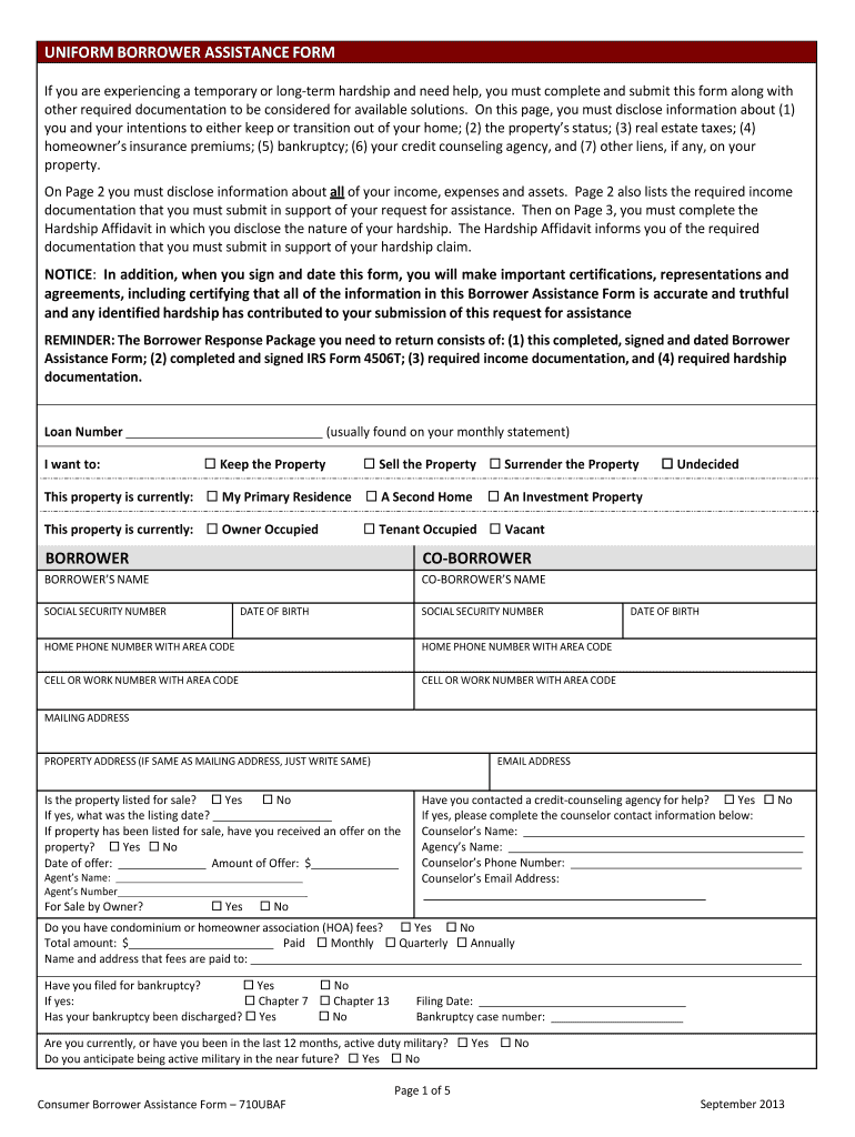  Uniform Borrower Form 2013-2024