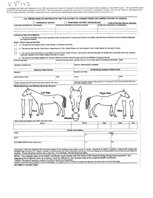 ImportExport Form