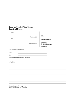 Court Declaration Template  Form