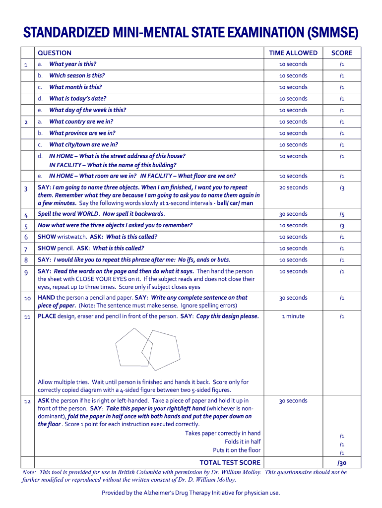 Standardized Mini Mental State Examination  Form